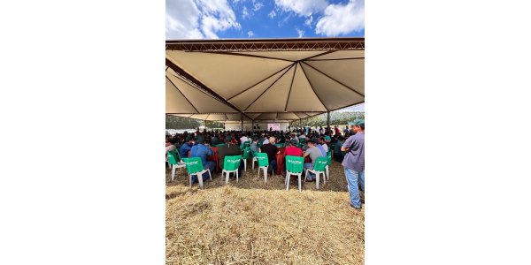 Lorem ipsum dolor sit amet