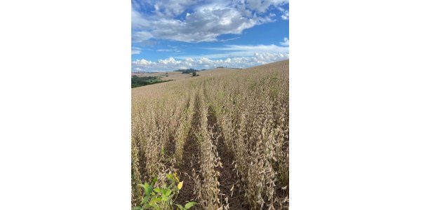 Lorem ipsum dolor sit amet