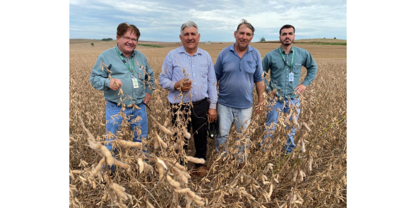 Produtores de soja vão do pior ao melhor ano da história