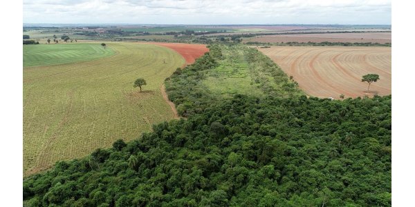 Lorem ipsum dolor sit amet