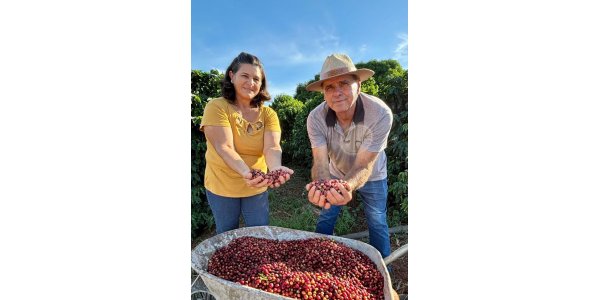 Diversificada, pequena ch&aacute;cara em Terra Boa (PR) faz o m&aacute;ximo com o m&iacute;nimo