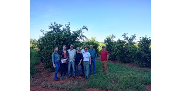 Lorem ipsum dolor sit amet