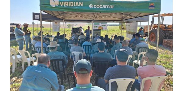 Lorem ipsum dolor sit amet