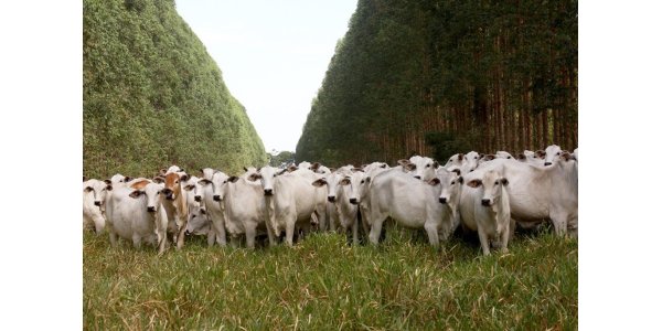 Lorem ipsum dolor sit amet