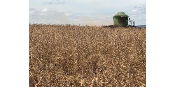 Lorem ipsum dolor sit amet