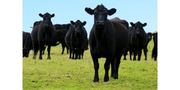 Lorem ipsum dolor sit amet