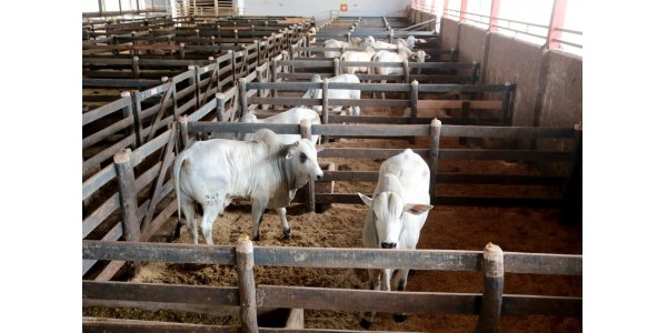 Lorem ipsum dolor sit amet