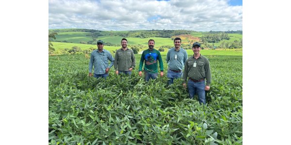 Na regi&atilde;o norte, potencial  das lavouras &eacute; alto, mas adversidades deixaram marcas