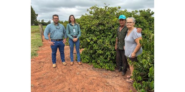 Lorem ipsum dolor sit amet