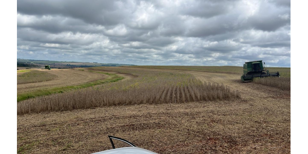 Lorem ipsum dolor sit amet