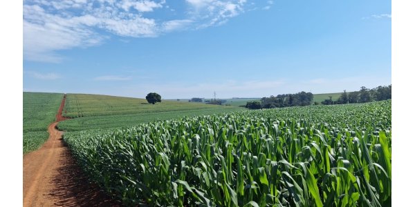 Lorem ipsum dolor sit amet