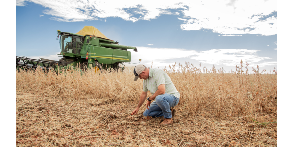 Lorem ipsum dolor sit amet