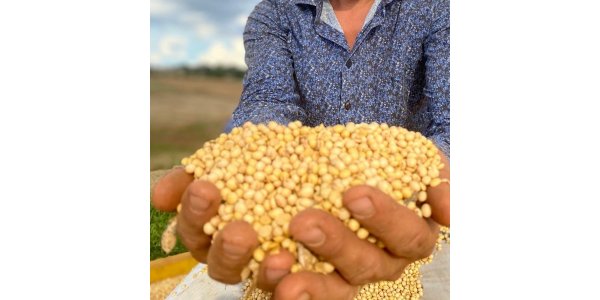 Lorem ipsum dolor sit amet