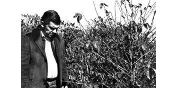 Lorem ipsum dolor sit amet