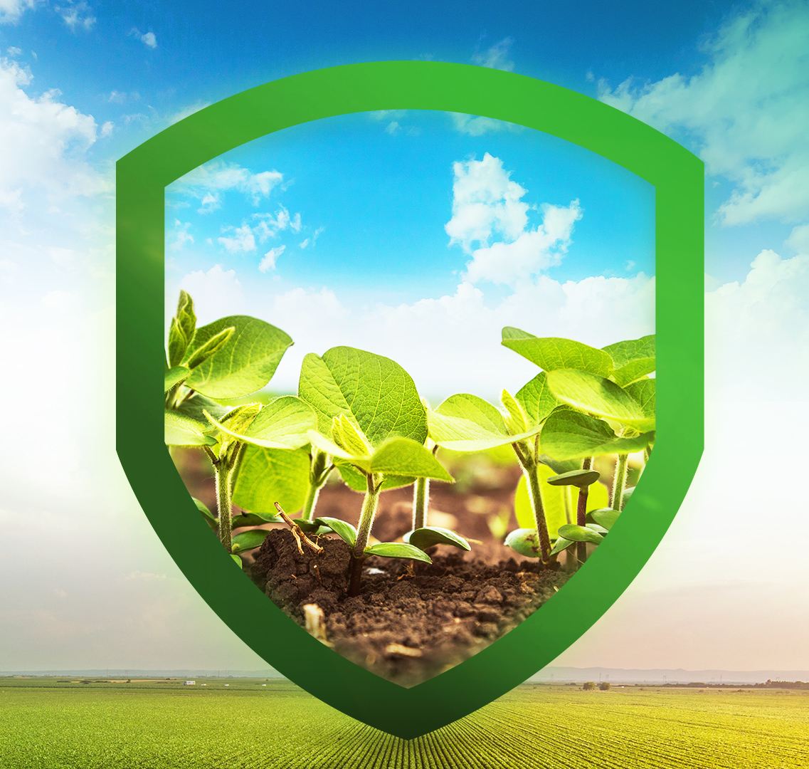 Corretora de Seguros