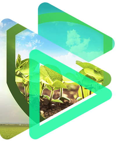 Corretora de Seguros