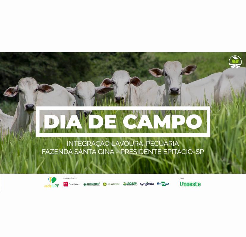 Fazenda em Pres. Epit&aacute;cio  sedia evento sobre ILPF