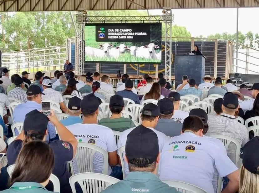 Dia de Campo sobre ILPF em Presidente Epit&aacute;cio (SP)