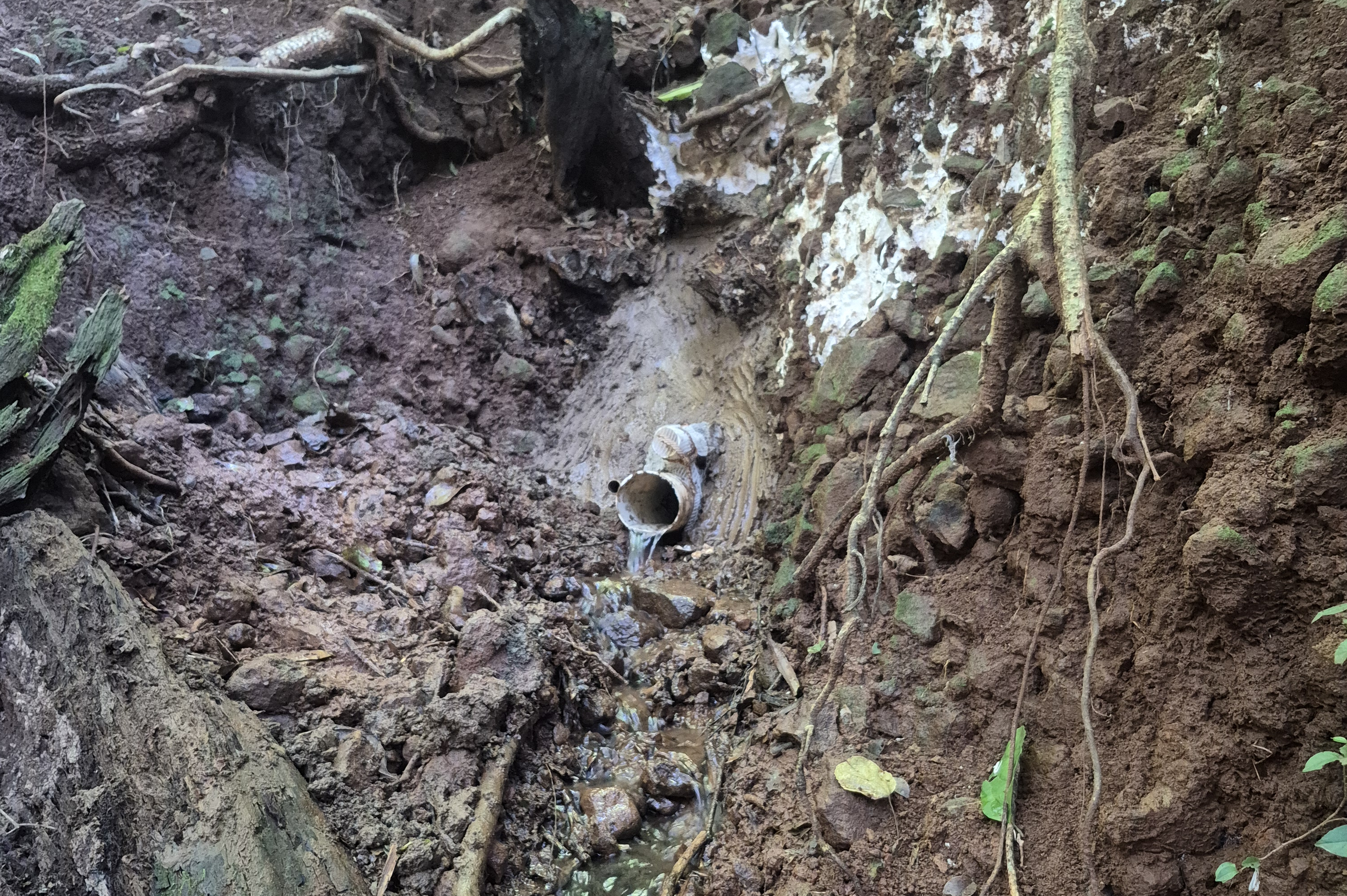 Na bacia do Rio Pirap&oacute;, Programa de Conserva&ccedil;&atilde;o de Nascentes chega &agrave; terceira fase