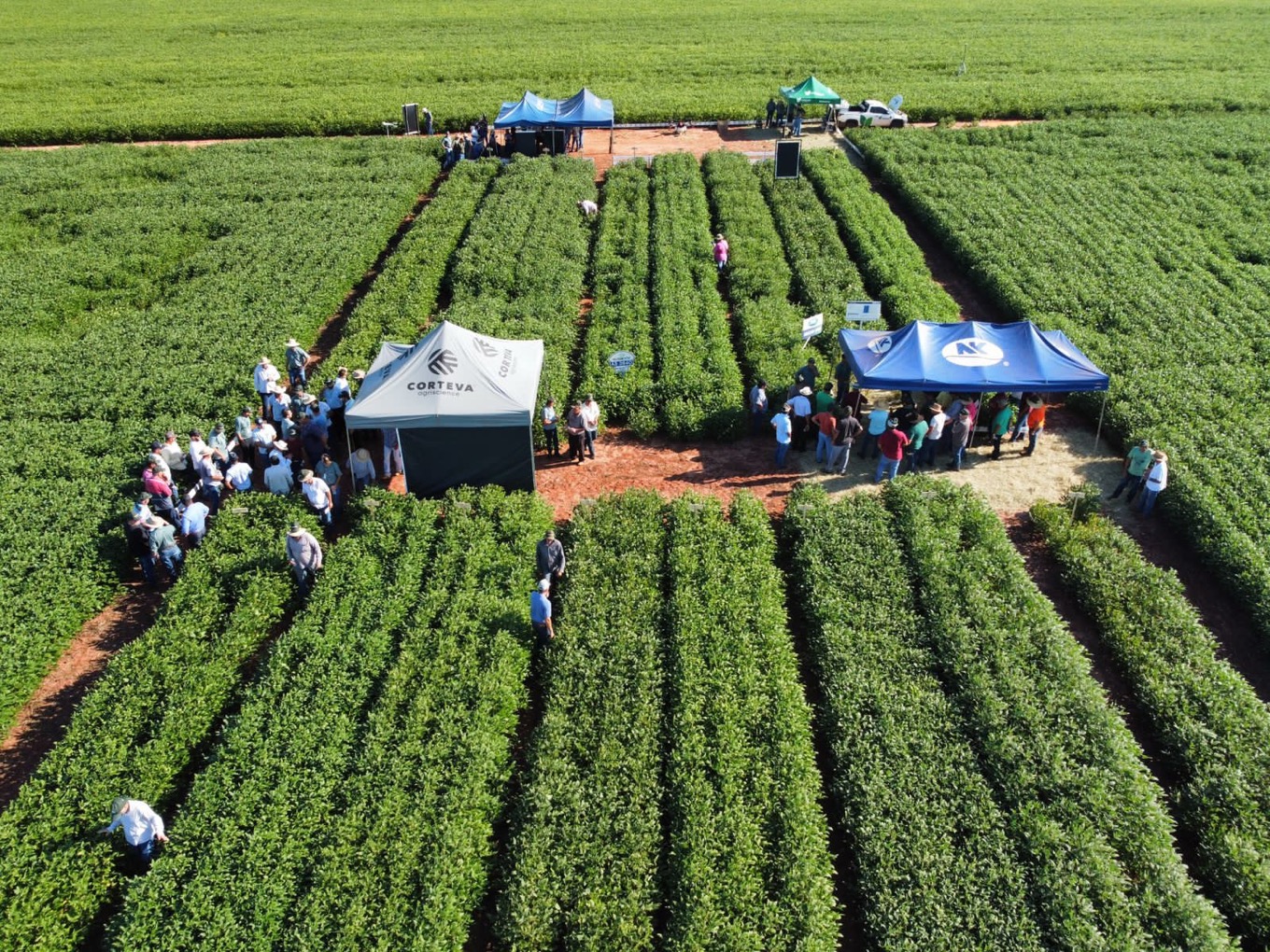 Dias de Campo movimentam cooperados em todas as regi&otilde;es