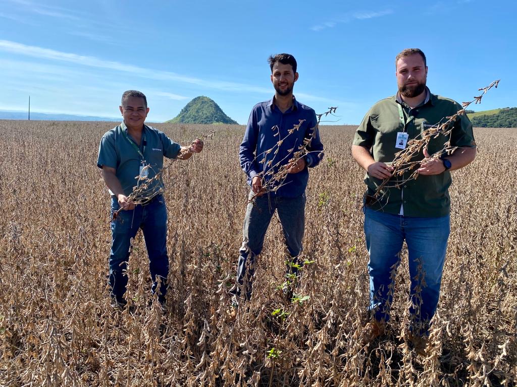 M&eacute;dias na regi&atilde;o de Nova F&aacute;tima devem ser menores neste ano