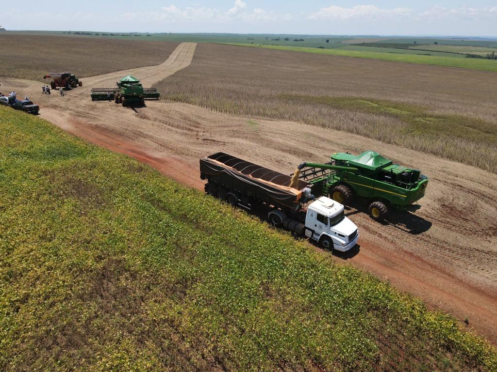 Alto potencial em in&iacute;cio de colheita na regi&atilde;o de Londrina