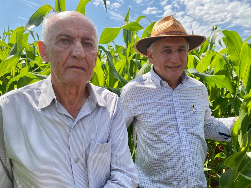 Floresta &eacute; o ber&ccedil;o do plantio de milho de inverno no pa&iacute;s