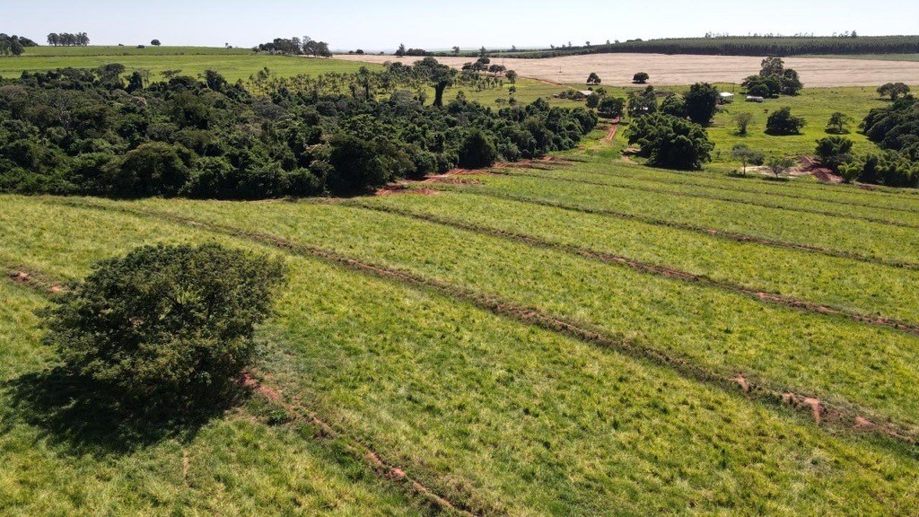 Quem n&atilde;o regularizar a sua quest&atilde;o ambiental at&eacute; a safra 2025/26, ter&aacute; que deixar de produzir