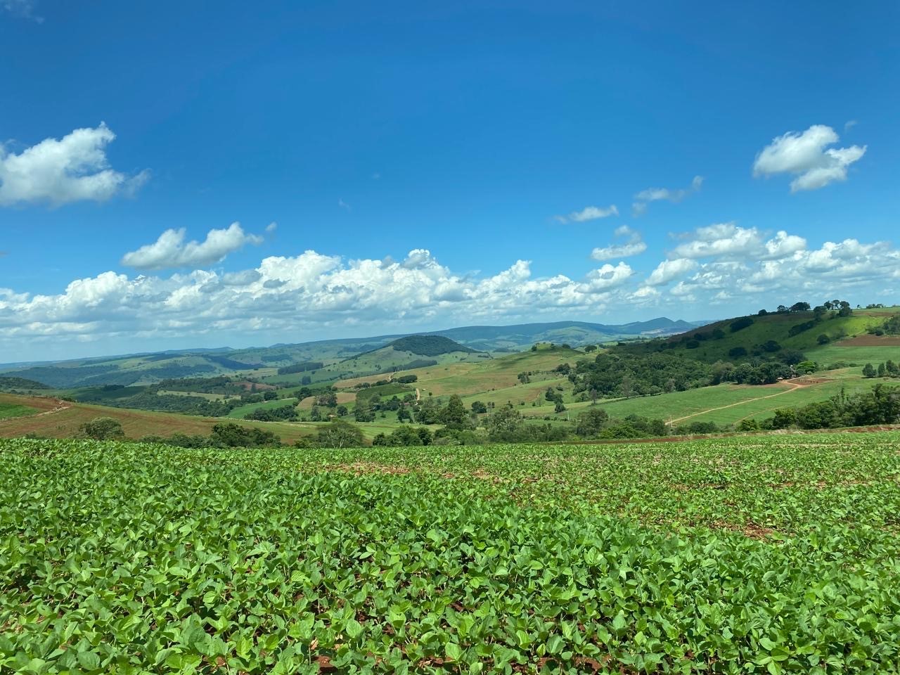 &Eacute; preciso avan&ccedil;ar em tecnologia, mas sem descuidar do principal, o solo