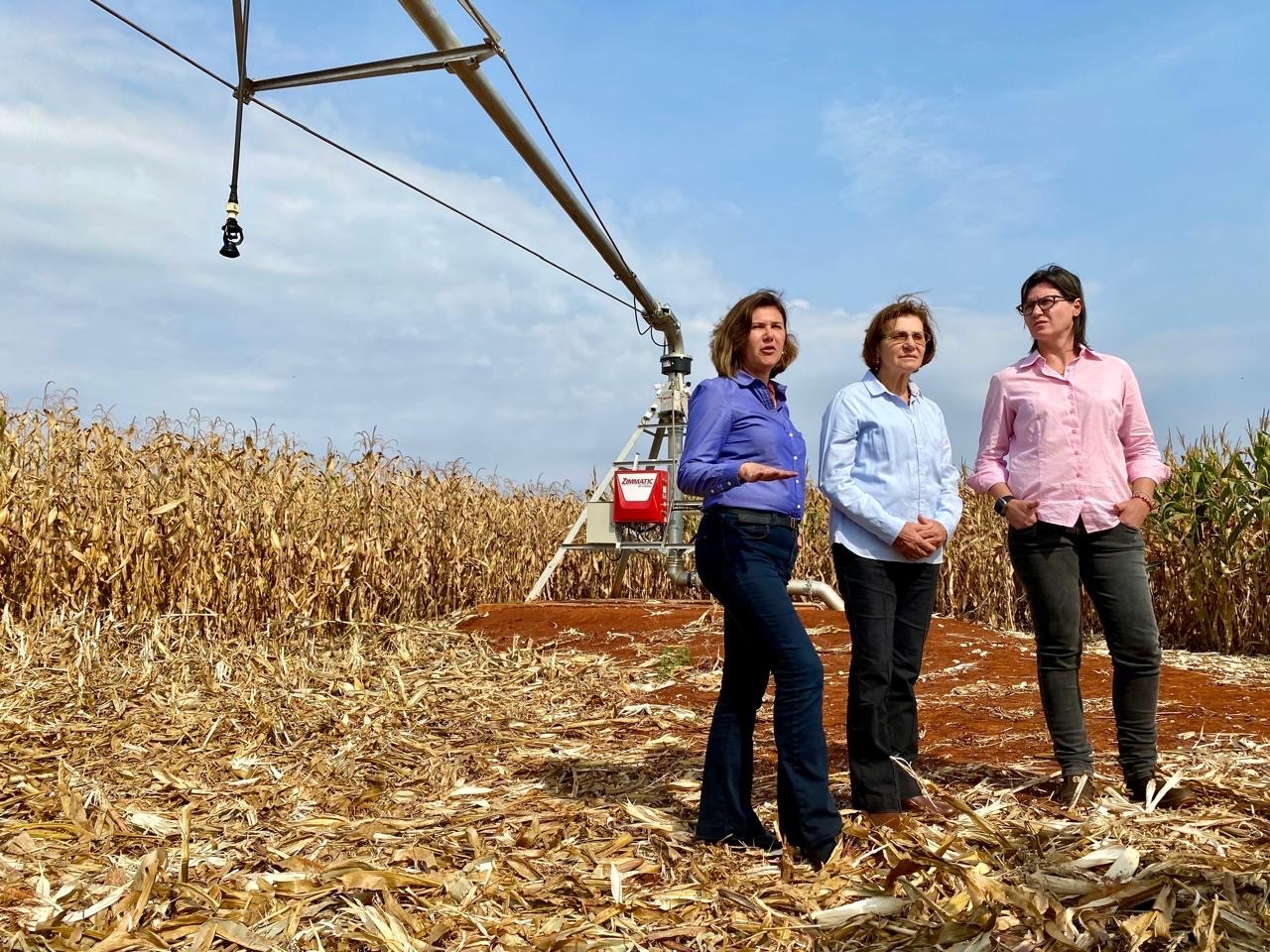 Irriga&ccedil;&atilde;o mostra seu diferencial em propriedade na regi&atilde;o de Maring&aacute;