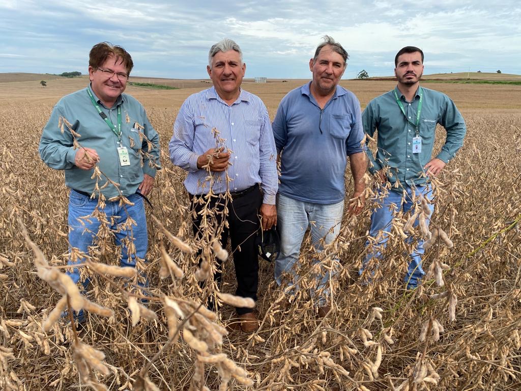 Produtores de soja vão do pior ao melhor ano da história