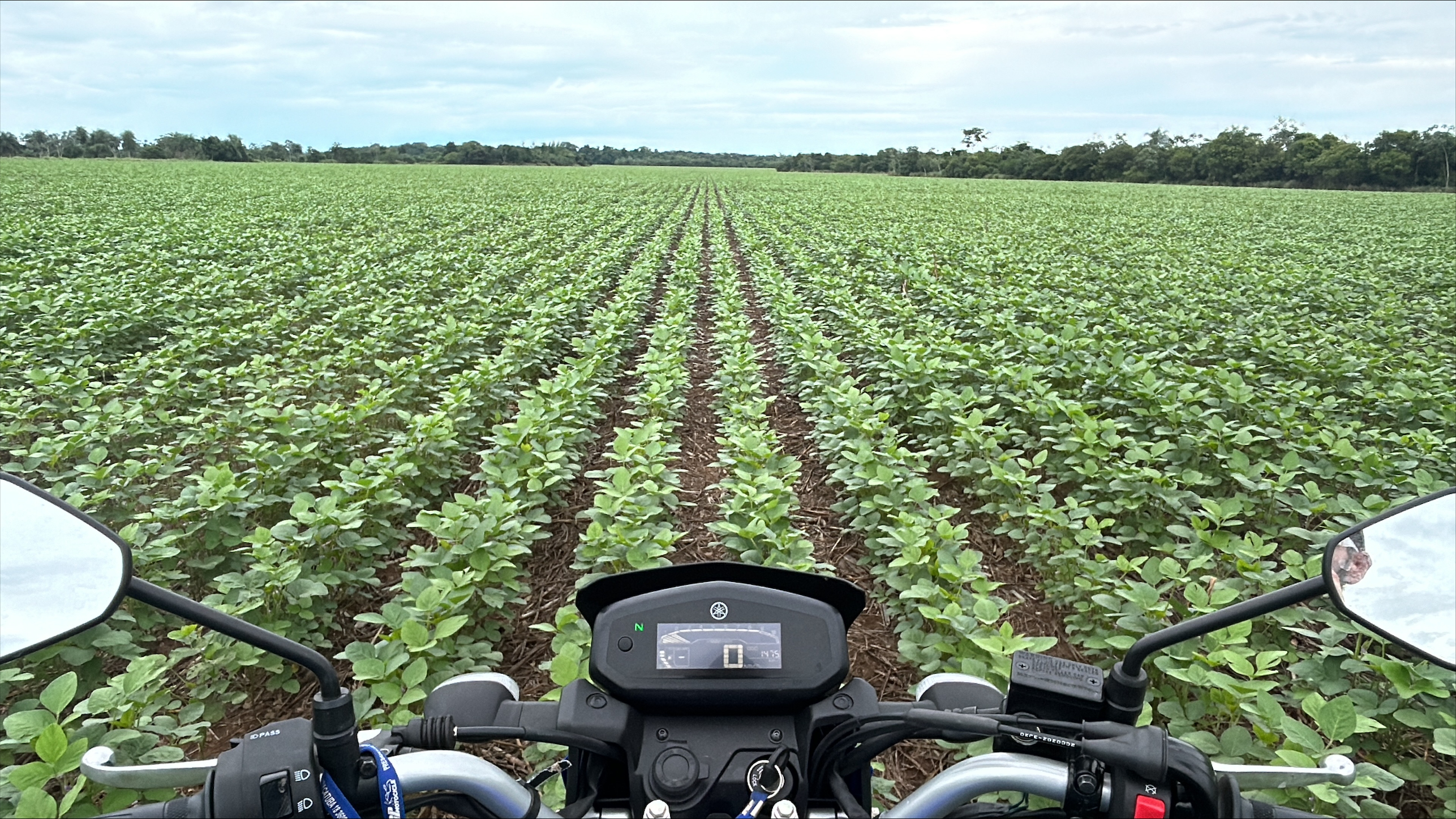 Solo protegido cont&eacute;m a&ccedil;&atilde;o das chuvas intensas