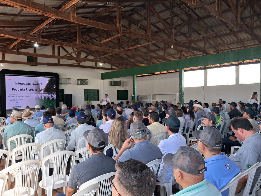 Dia de campo celebra dez anos do sistema ILPF na regi&atilde;o oeste paulista