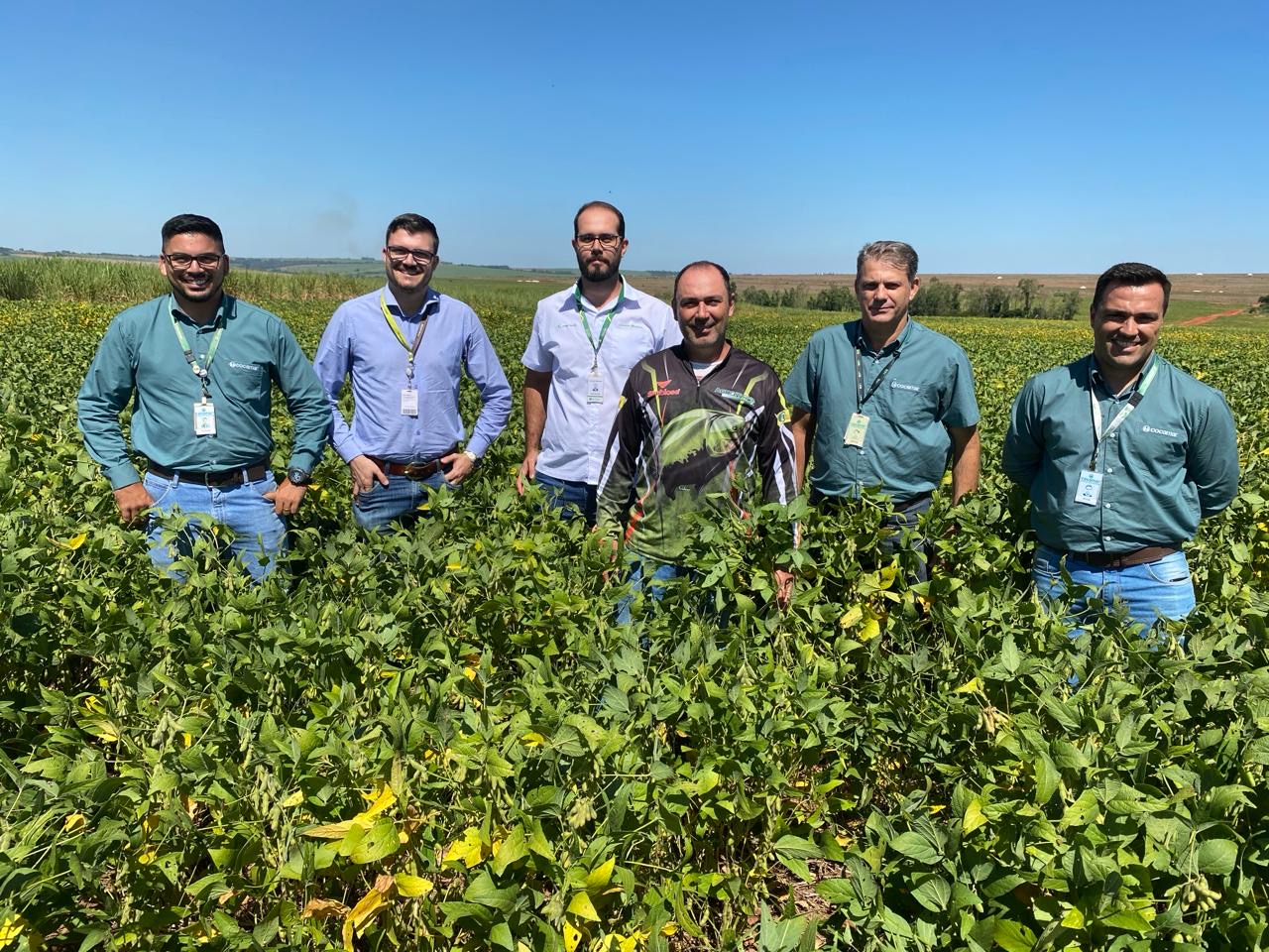 Produtor expande &aacute;rea com  soja na regi&atilde;o noroeste do Paran&aacute;