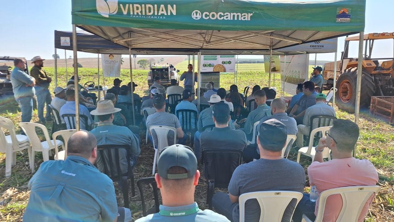 Pr&aacute;ticas conservacionistas ajudam produtor a reduzir efeitos de veranicos