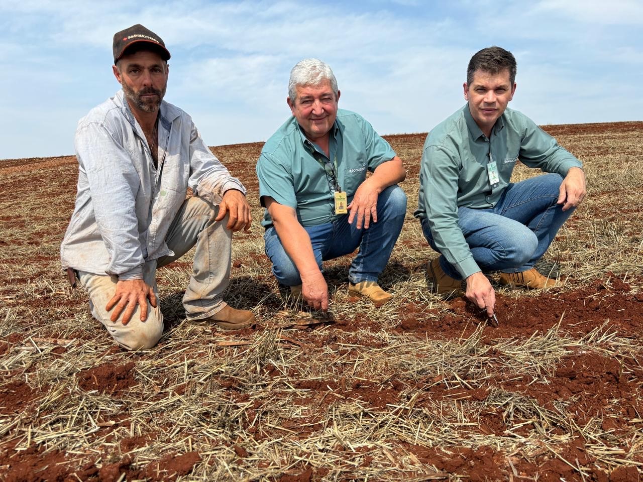 Com produ&ccedil;&atilde;o melhor, solo argiloso pressiona menos o arrendat&aacute;rio 
