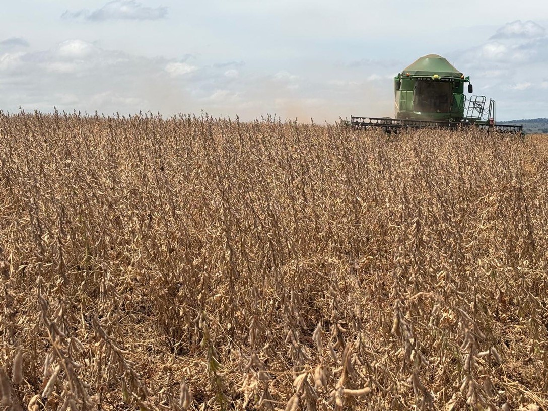 Irriga&ccedil;&atilde;o viabiliza a lavoura no extremo noroeste do Paran&aacute;