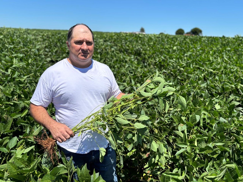 Produtores de Ipor&atilde; (PR) enfrentam os desafios clim&aacute;ticos com o cultivo sustent&aacute;vel de gr&atilde;os