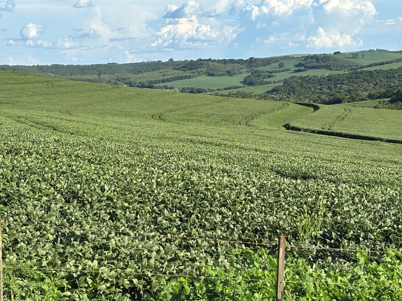 Cocamar participa, na Embrapa,  de Congresso Paranaense de Agricultura  de Baixa Emissão de Carbono