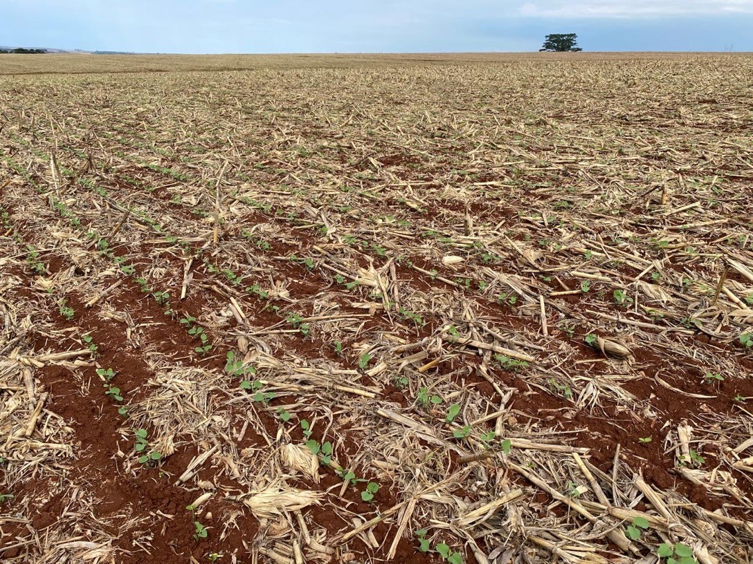 Manejo adequado do solo &eacute; tema de palestras com cooperados