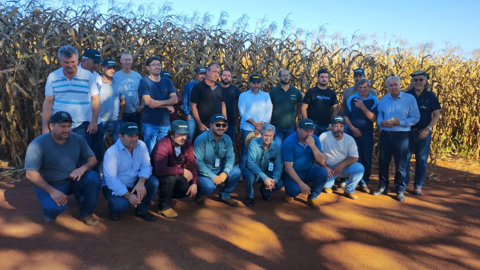 Cooperados visitam a regi&atilde;o de &Aacute;gua Boa (MT)