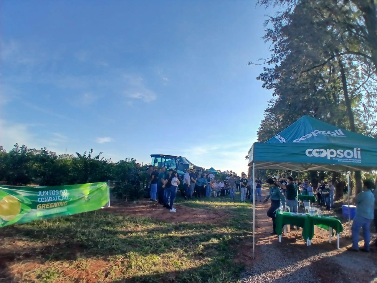 2&ordm; Dia de Campo de Citros re&uacute;ne produtores e t&eacute;cnicos em Alto Paran&aacute;