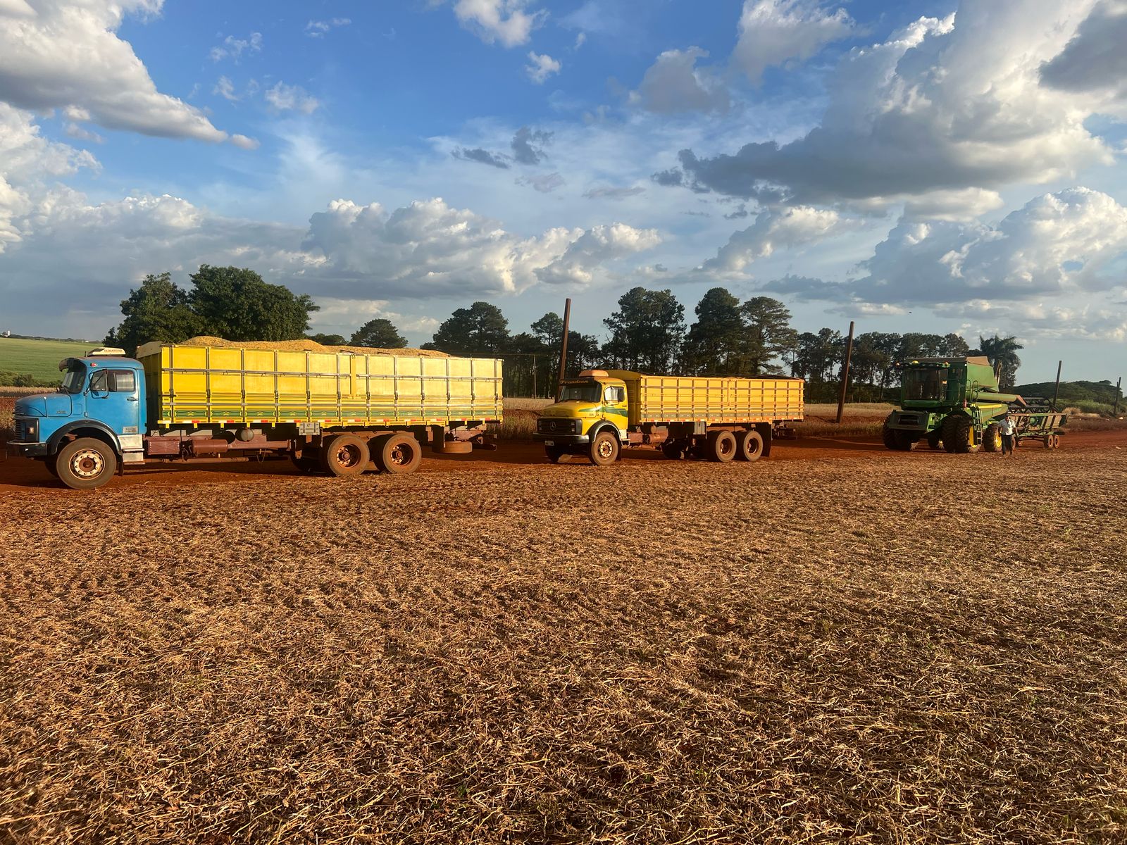 Extremos de produtividade marcam a safra de soja na regi&atilde;o oeste paulista 