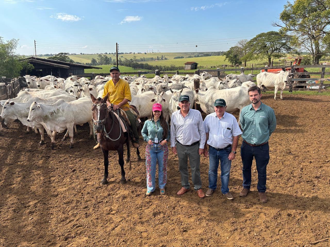 Vale Da Cegonha, Um Ber&ccedil;o De Campe&otilde;es.