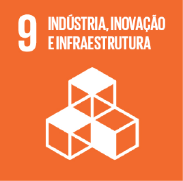 9 - Indústria, Inovação e Infraestrutura