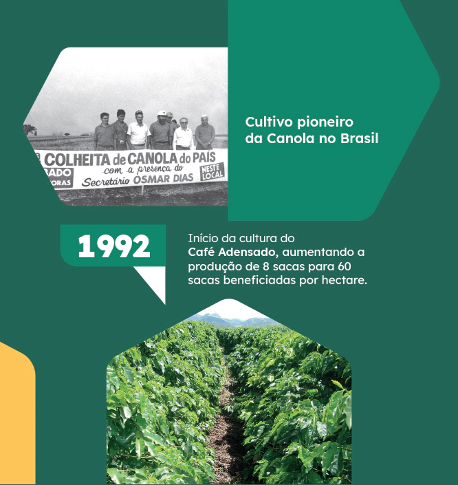 1992 - Cultivo pioneiro da Canola no Brasil