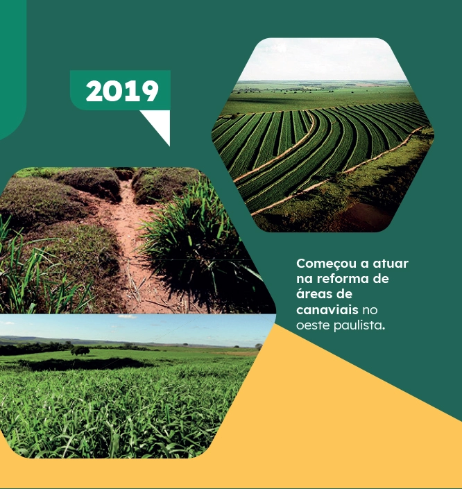2019 - Começou a atuar na reforma de áreas de canaviais no oeste paulista
